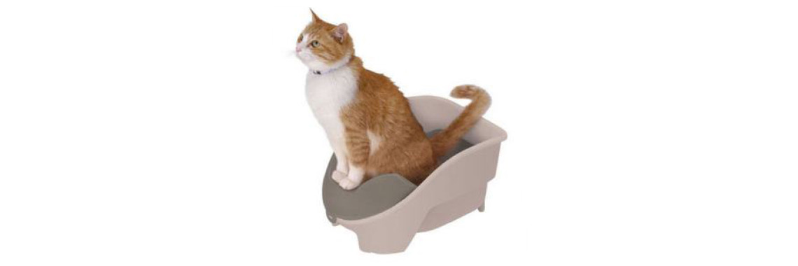 Cat Toilet Training