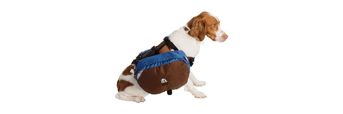 Proper Gear For Hiking With Your Dog
