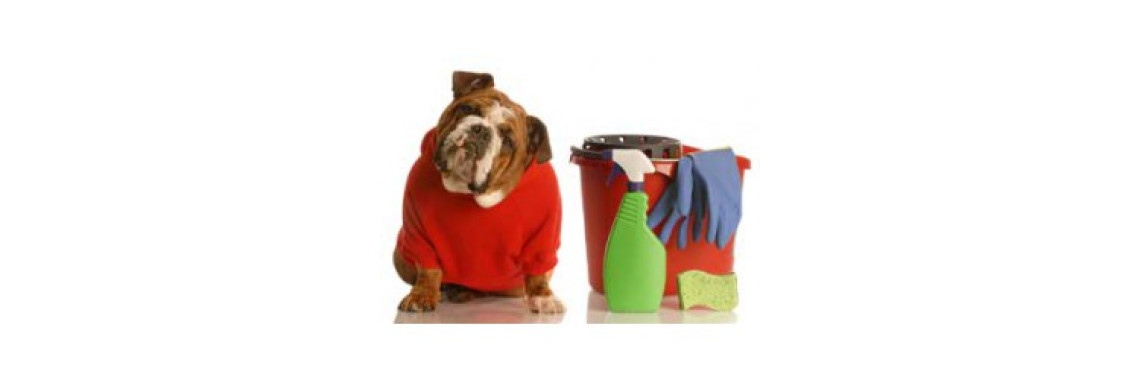 How Pets Urine Stain And Odor Removers Helps!