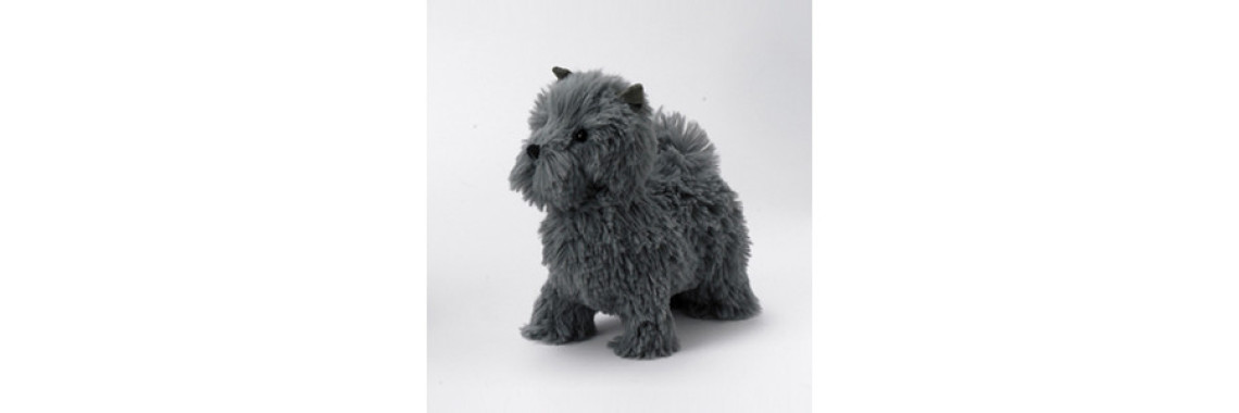 Some Information Regarding Cairn Terrier Pet Dogs