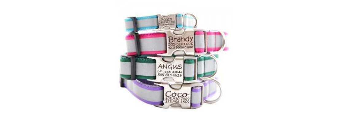 Choosing A Suitable Collar For Your Dog