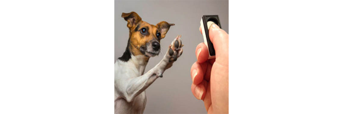 Training Your Dog With a Clicker