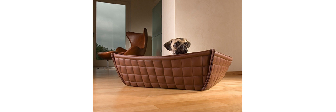 Choosing The Right Dog Bed For Your Pit Bull Terrier