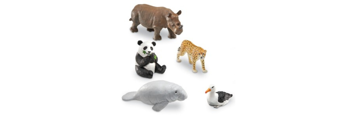 Essential Oils and Our Pets