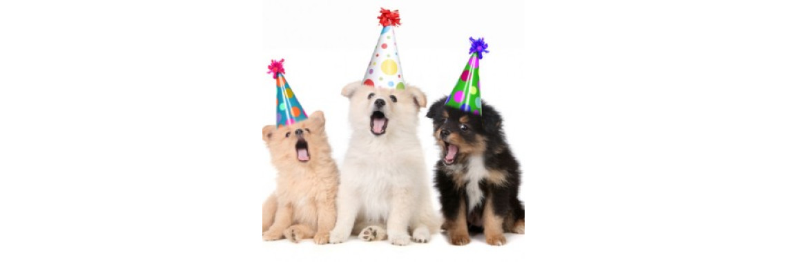 Choosing the Right Dog for You and Your Family