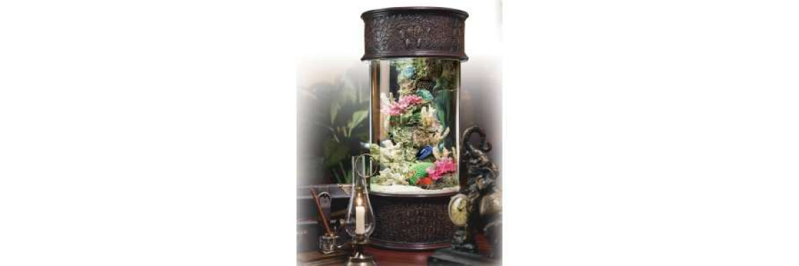 Starting A New Saltwater Tank