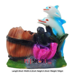 2 Dolphin With Barrel