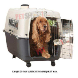 Dog Accessorizes Product 