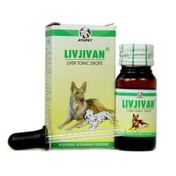 Ayurvet Dog Supplements Livjivan Drop